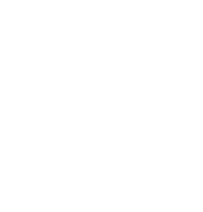 NZ SoC 2 Licence