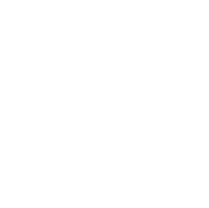 AICPA SoC 2 Logo